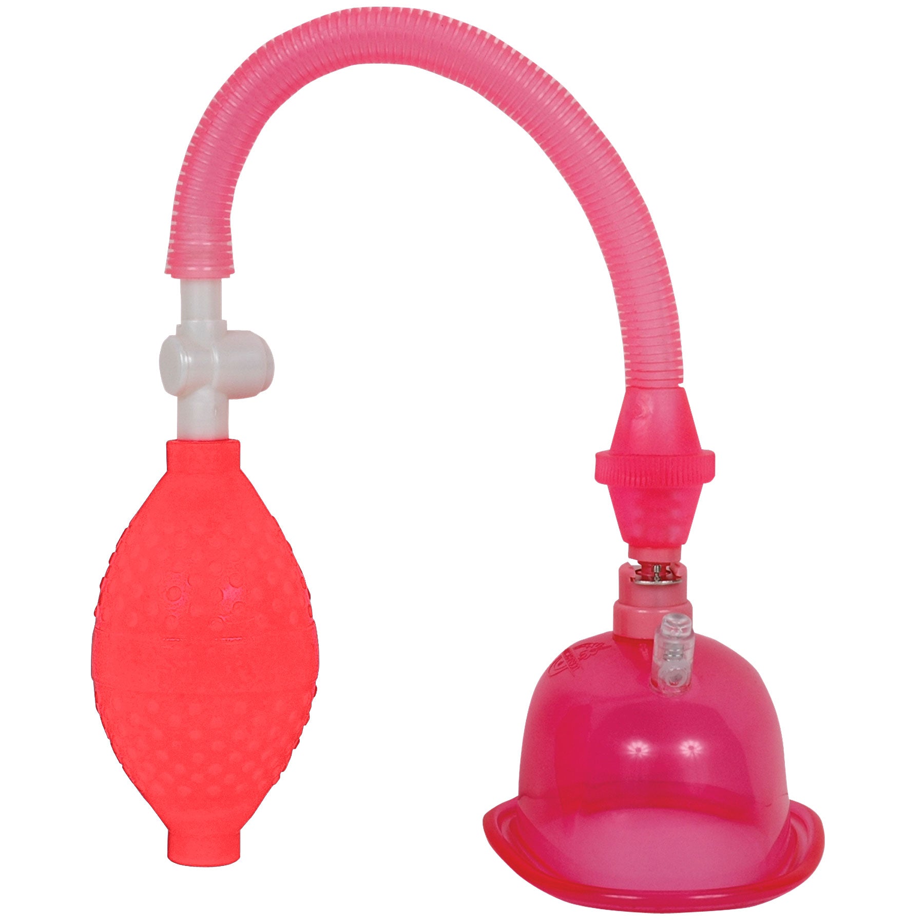 Pussy Pump in a Bag - Pink DJ5006-02-BG